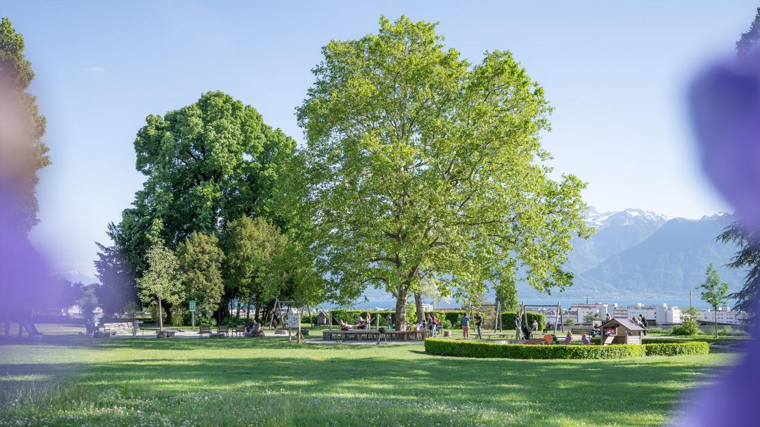 L'Esquisse du Paysage