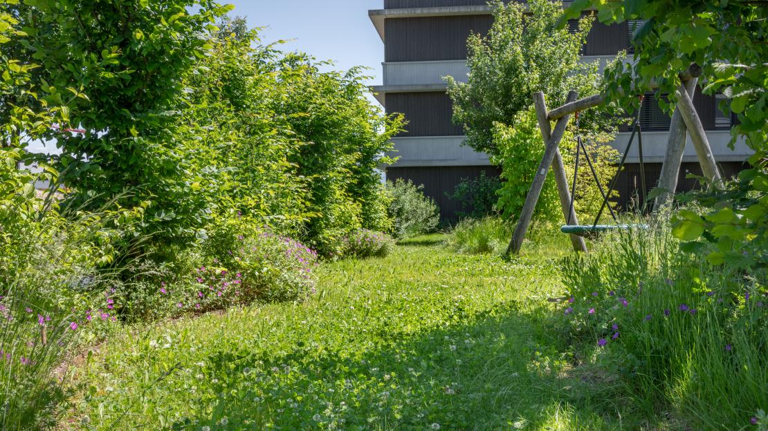 L'Esquisse du Paysage