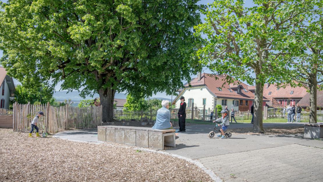 L'Esquisse du Paysage