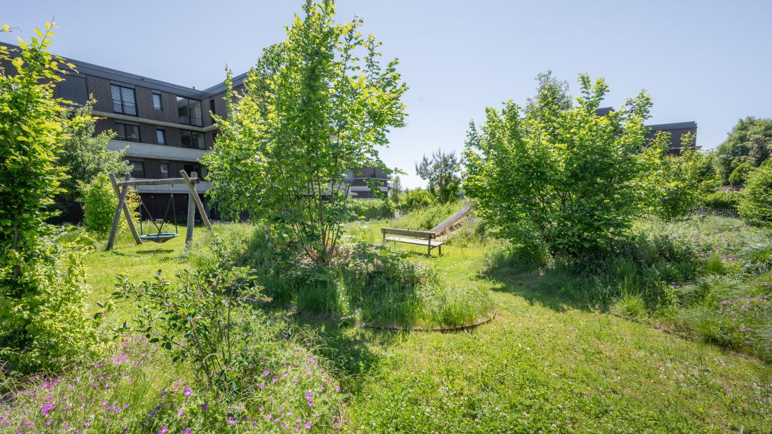 L'Esquisse du Paysage