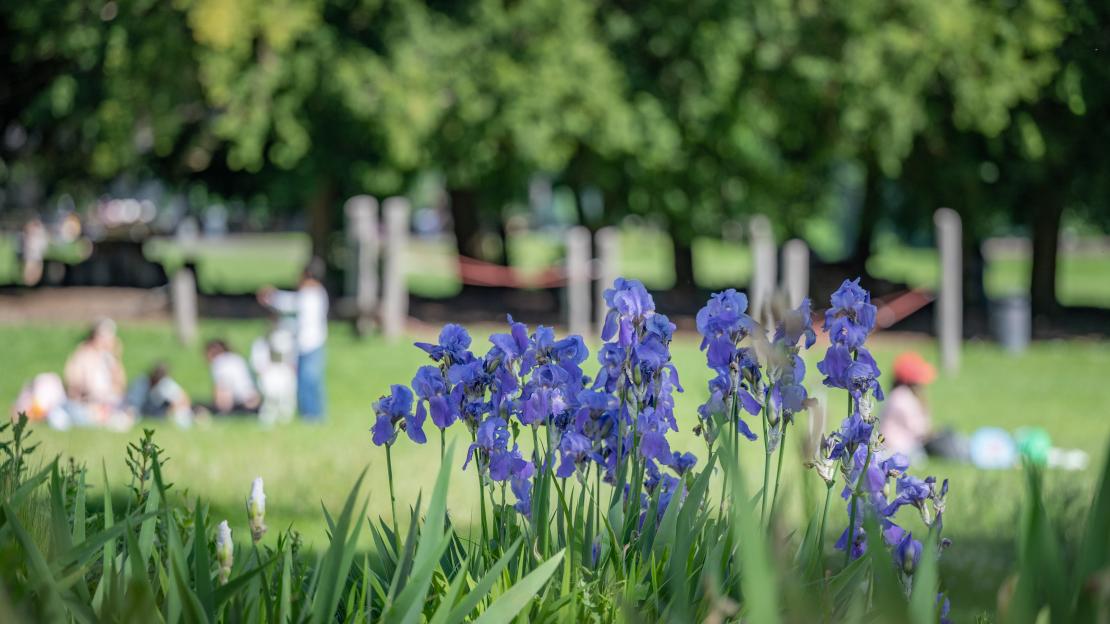 L'Esquisse du Paysage
